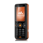 Sony Ericsson W610C Cell Phone User manual