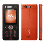 Sony Ericsson W880i User manual