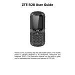 ZTE Q78-GR290 GSMQuad-band Digital Mobile Phone User Manual
