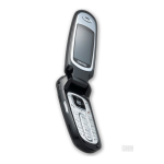 Samsung Electronics A3LSGHT309 Dual-BandGSM Phone User Manual