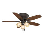 Casablanca Ceiling fans, Vicente Owner's Manual
