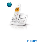 Philips BeNear Cordless phone CD2901B Datasheet