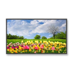 NEC MultiSync X462HB Specification