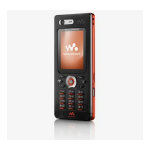 Sony Ericsson W880i User manual