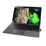 Acer SW312-31P User Manual W10