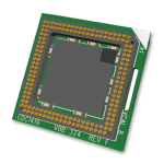 NXP MPC5554 32-bit MCU Reference Manual