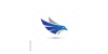 Blue Hawk
