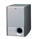 JVC Speaker SP-PW100 User manual