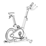 inSPORTline Spin Bike inCondi S800i User Manual