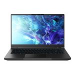 Intel RC57 NUC M15 Laptop Manuel utilisateur