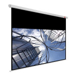 Avtek International Business PRO 200 User manual