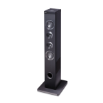LG FJ1 Руководство пользователя