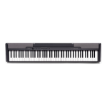 Casio CDP-100 Electronic Musical Instrument Manuale utente