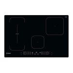 Indesit IB 21B77 NE Hob Benutzerhandbuch