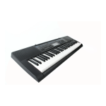 Ap&eacute;ndice del Instrumento Musical Casio | Chat con IA + PDF
