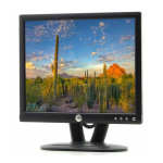Dell E173FP User's Guide