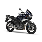 Yamaha TDM 900 Manuel du propri&eacute;taire