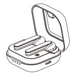 RoHS WSG-T3 Wireless Earbuds User Manual