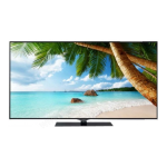 Edenwood ED3202 HD, ED5503UHD: KI Chat &amp; PDF Download