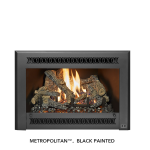 Fireplace Xtrordinair DVS EmberGlo GSR2 Insert (FPX) 2020 Owner's Manual