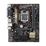 ASUS H81M-V3 Motherboard User Guide + AI Chat