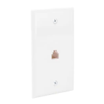 Commercial Electric 216 8C Ethernet Wall Plate, White Use and Care Manual