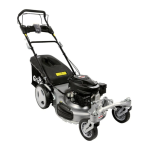 Grizzly Lawn Mower BRM 51-170 A-OHV Q-360&deg; E-Start: AI Chat &amp; PDF Download