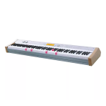 CASIO PL-40R Digital Piano User Guide | AI Chat &amp; PDF Download