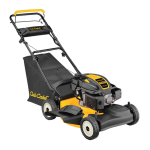 Cub Cadet CC 46 ES Manual: AI Chat &amp; PDF Access