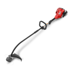 Ryobi RPT2543C RY70111 Trimmer Manual | AI Chat &amp; PDF