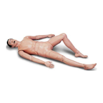 Crash Kelly Airway Manikin | AI Chat &amp; PDF Access