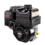 Briggs &amp; Stratton Snow Series Manual: AI Chat &amp; PDF