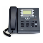 NETfon 100 SIP User Guide | AI Chat &amp; PDF Download