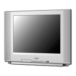 Sanyo CRT Television DS20424 Owner's Manual