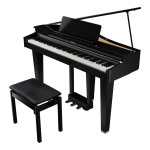 Roland GP-3 Digital Piano Owner&rsquo;s Manual