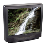Sanyo DS31590 Service Manual - Complete Guide