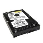 Cisco Spare 80-GB SATA Hard Disk Drive, Cold-Pluggable Datasheet