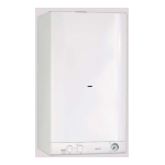 DELTA Boiler User Manual + AI Chat &amp; PDF Download