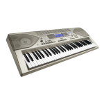 Casio CTK-900 Electronic Musical Instrument Manual de usuario