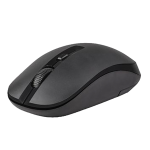 Prolink PMW6007 Wireless Mouse User Manual