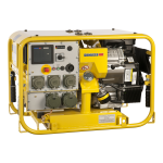 ENDRESS Stromerzeuger ESE 604 DBG DIN, ESE 604 DBG ES DIN, ESE 854 DBG DIN - Bedienungsanleitung