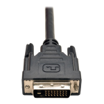 Tripp Lite 1-ft. DVI Dual Link Splitter Cable, DVI-D M / 2 x DVI-I F Datasheet