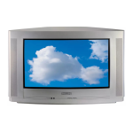 Philips 24PW6006 CRT Television User Manual | CRT TVs Manual Download