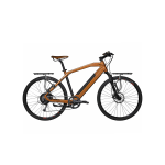 Qwic Electric 2012 Owner Manual