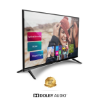 Allview Smart TV 32&quot; / 32ATS5500-H Kasutusjuhend