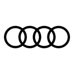 Audi Q3 Workshop Manual