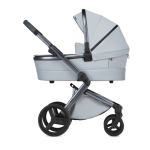 Anex L Type Stroller Manual | AI Chat &amp; PDF Download