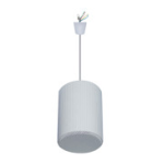 LY International Electronics H-6A/H-6AC 6" 30W ABS Pendant Speaker Owner's Manual