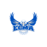 Elma Elmasonic S50R Operating Instructions Manual