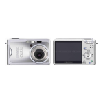 Pentax Optio S7 Silver Руководство пользователя